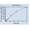 Recombinant YopH 